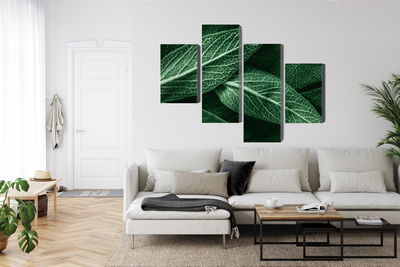 Ljuddämpande tavla - Salvia leaves on a macro