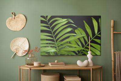 Ljuddämpande tavla - Green tropical leaves