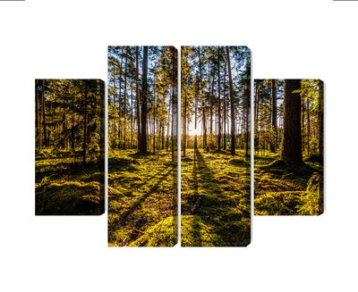 Ljuddämpande tavla - Morning sun rays