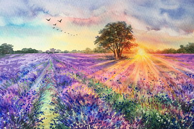 Ljuddämpande tavla - Lavender landscape painted