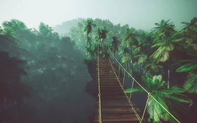 Ljuddämpande tavla - Rope bridge in the jungle 3d