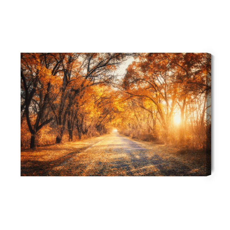 Ljuddämpande tavla - Road in the autumn 3d forest