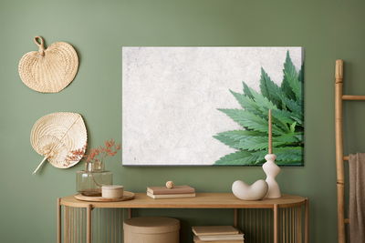 Ljuddämpande tavla - Green leaves on a gray