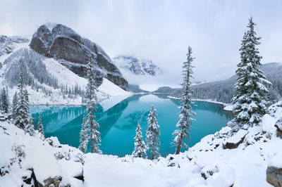 Ljuddämpande tavla - Moraine Lake in winter