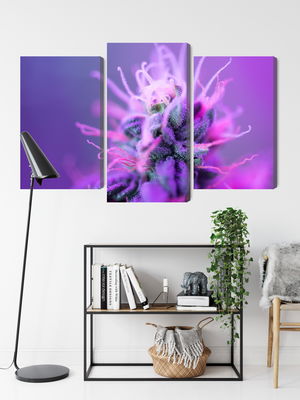 Ljuddämpande tavla - Macro plant on a pink-purple