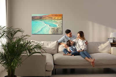 Ljuddämpande tavla - Dead sea and landscape