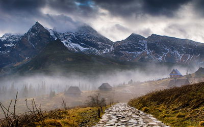 Ljuddämpande tavla - Misty landscape with hala