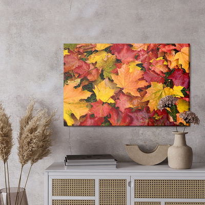 Ljuddämpande tavla - Maple leaves in fall colors