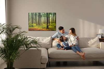 Ljuddämpande tavla - 3d forest landscape