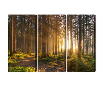 Ljuddämpande tavla - Sunset in the forest