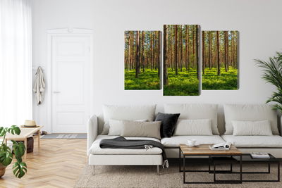 Ljuddämpande tavla - 3d pine forest