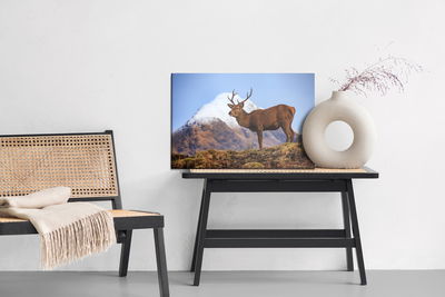 Ljuddämpande tavla - Deer on the background