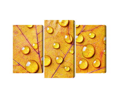 Ljuddämpande tavla - Water drops on an autumn