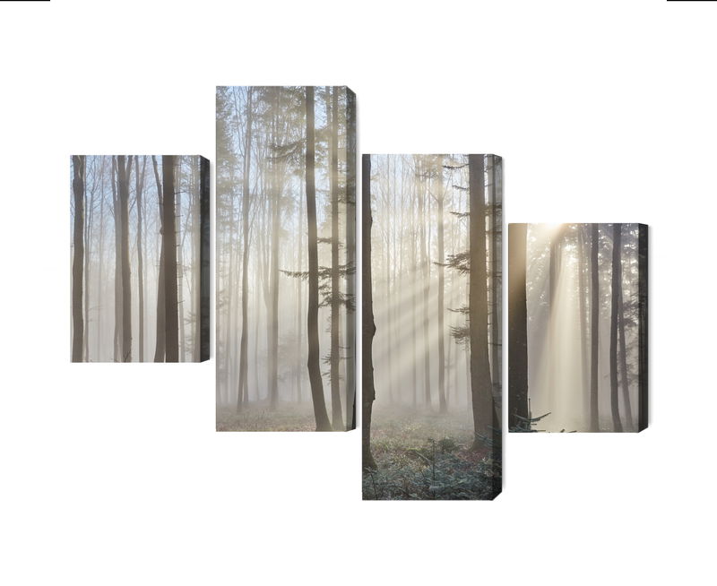 Ljuddämpande tavla - Sunrise in the woods