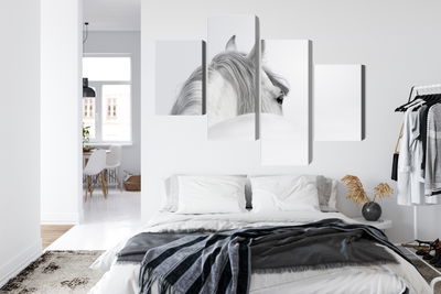Ljuddämpande tavla - Andalusian horse in the fog