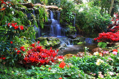 Ljuddämpande tavla - Waterfall in a tropical