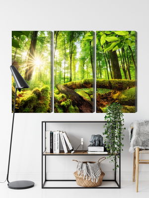 Ljuddämpande tavla - Rays of the sun in the 3d