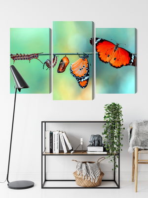 Ljuddämpande tavla - Colorful caterpillars