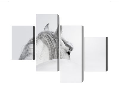 Ljuddämpande tavla - Andalusian horse in the fog