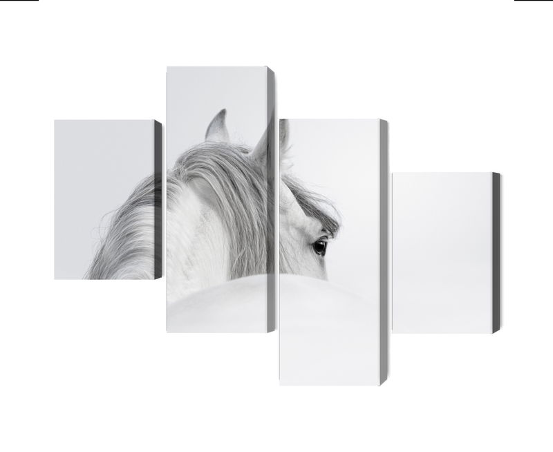 Ljuddämpande tavla - Andalusian horse in the fog