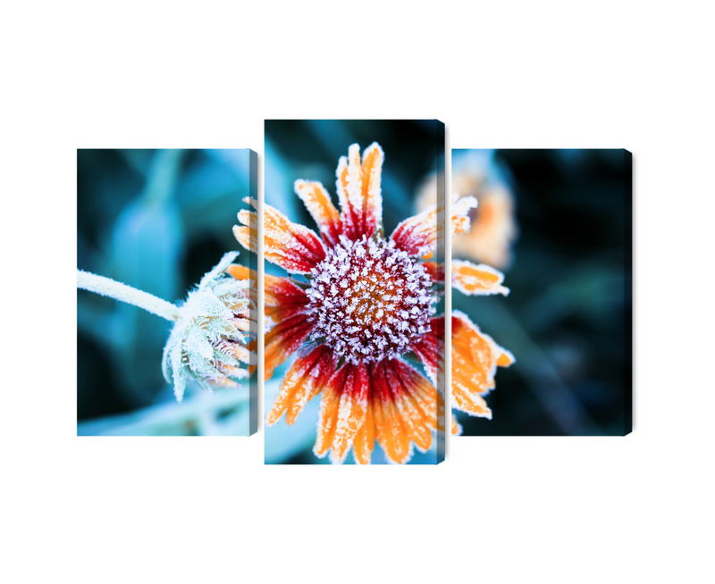 Ljuddämpande tavla - Rudbeckia flowers covered