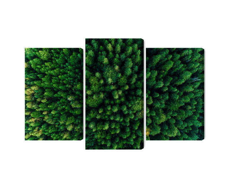 Ljuddämpande tavla - Aerial view of the green