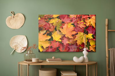 Ljuddämpande tavla - Maple leaves in fall colors