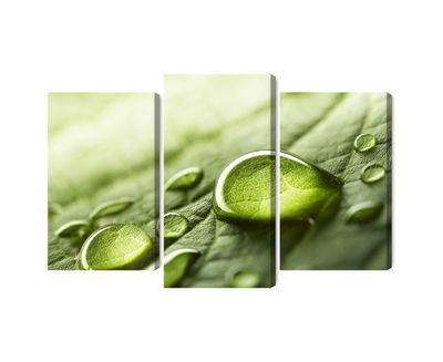 Ljuddämpande tavla - Water drops on a leaf