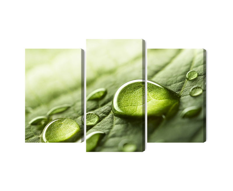 Ljuddämpande tavla - Water drops on a leaf