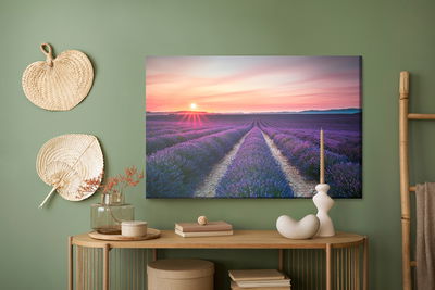 Ljuddämpande tavla - The field of blooming