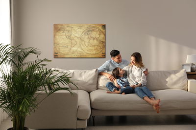 Ljuddämpande tavla - Historical map of the world