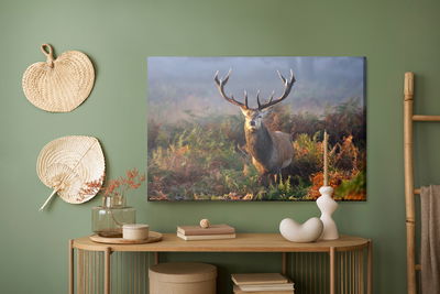 Ljuddämpande tavla - An impressive deer among