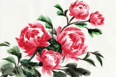 Ljuddämpande tavla - Peonies painted