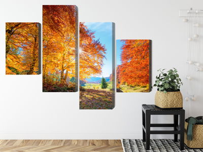 Ljuddämpande tavla - Colorful autumn trees