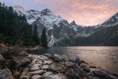 Ljuddämpande tavla - Lake and forest