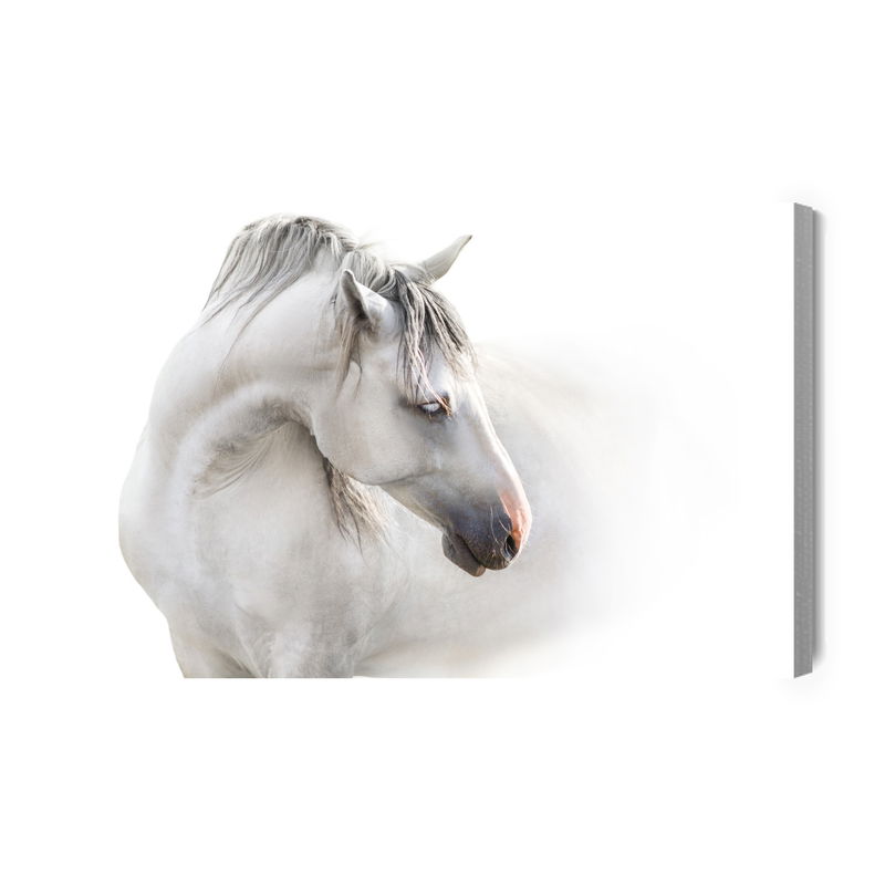 Ljuddämpande tavla - A white horse in the fog