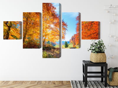 Ljuddämpande tavla - Colorful autumn trees