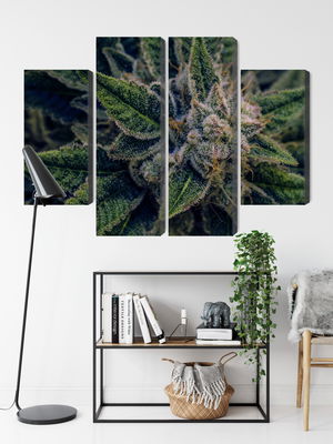 Ljuddämpande tavla - Cannabis plant close up