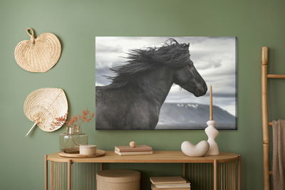 Ljuddämpande tavla - Black horse on a background