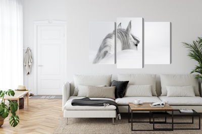 Ljuddämpande tavla - Andalusian horse in the fog