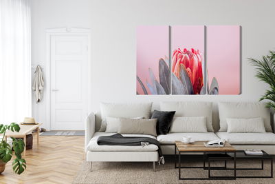 Ljuddämpande tavla - Flower of the royal protéa