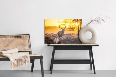 Ljuddämpande tavla - Deer in the morning sun