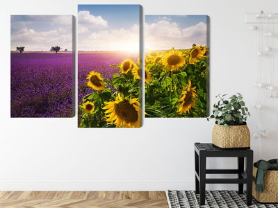 Ljuddämpande tavla - Lavender and sunflower