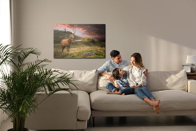 Ljuddämpande tavla - A deer on a background