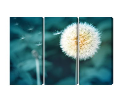 Ljuddämpande tavla - Dandelion flower close up 3d