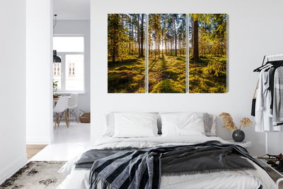Ljuddämpande tavla - 3d sunny forest landscape