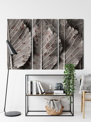 Ljuddämpande tavla - Gray leaves on a macro scale