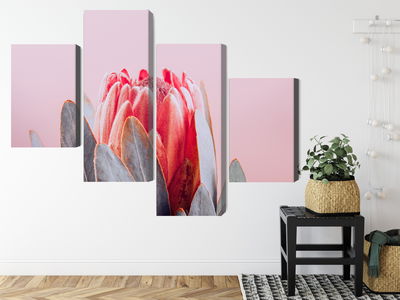 Ljuddämpande tavla - Flower of the royal protea