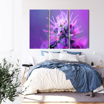 Ljuddämpande tavla - Macro plant on a pink-purple