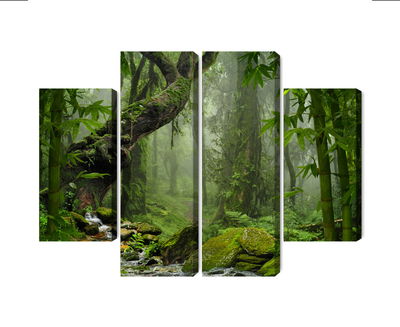 Ljuddämpande tavla - The green of the rain forest